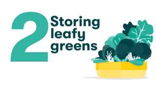 2 - Storing leafy greens