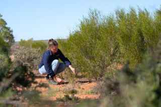 woman carbon farming
