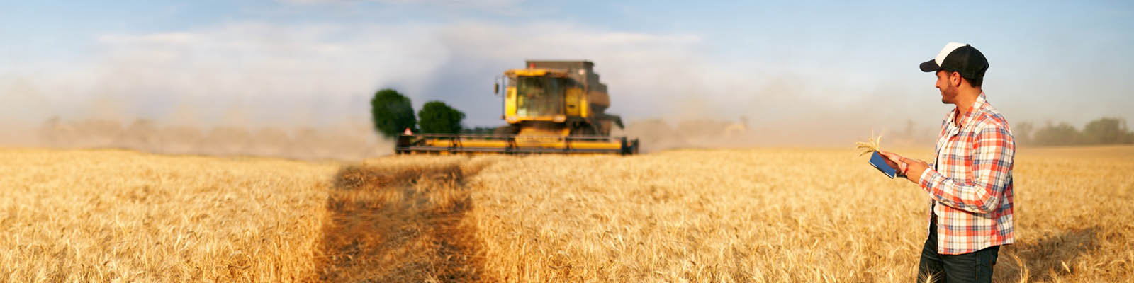 Male farmer