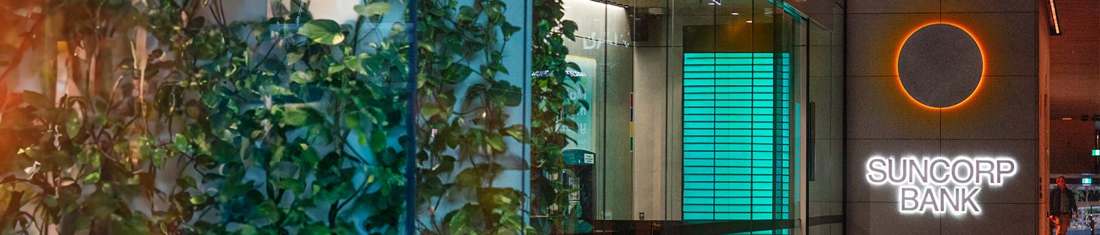Suncorp Bank logo next to leafy wall